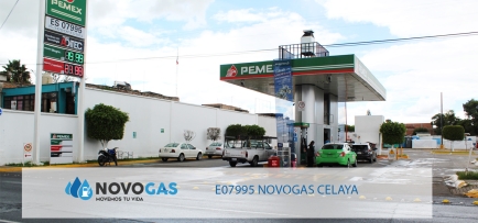 CELAYA